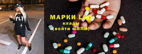 ПСИЛОЦИБИНОВЫЕ ГРИБЫ Аркадак