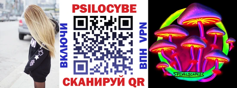 кракен ТОР  Шацк  Псилоцибиновые грибы Cubensis 